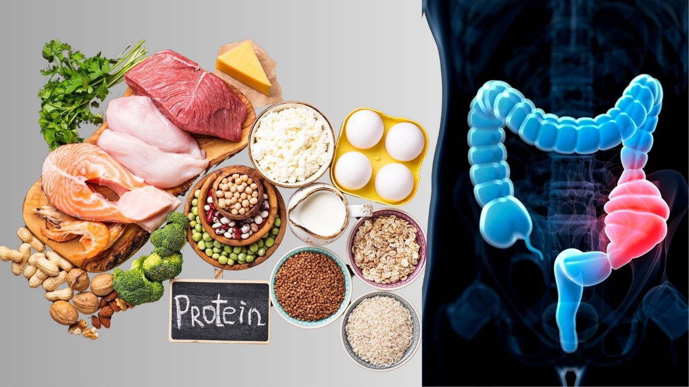 Does A High Protein Diet Cause Constipation?