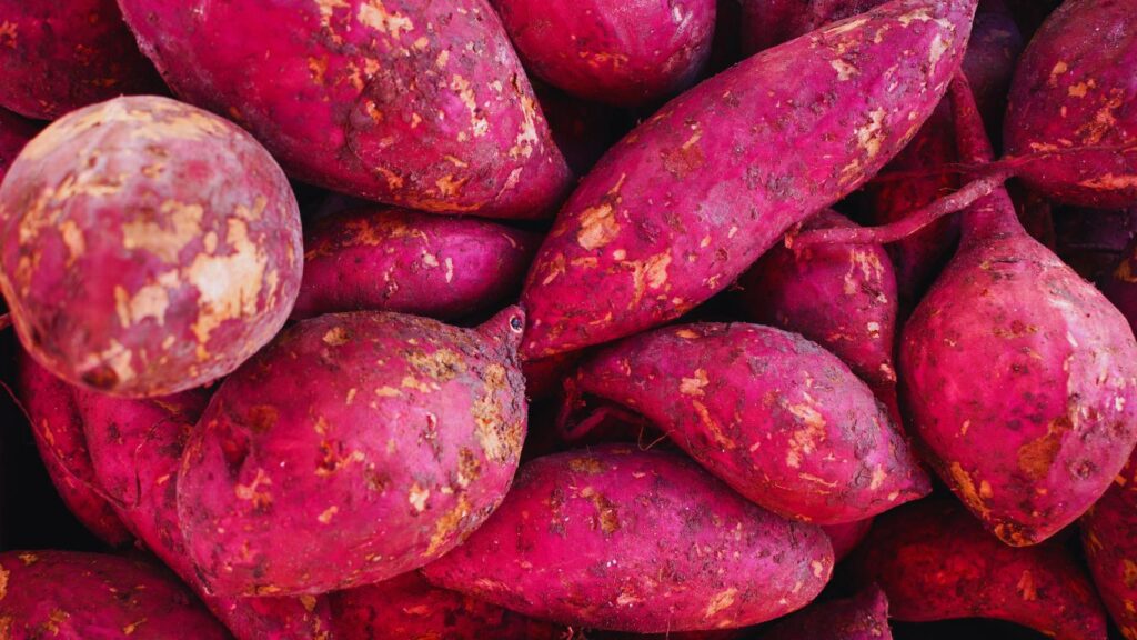 Nutrients In Japanese Sweet Potato