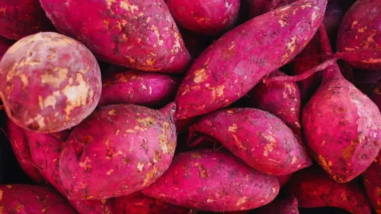 Nutrients in Japanese sweet potato