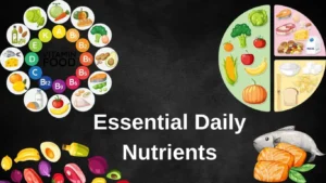 Essencial Daily Nutrients